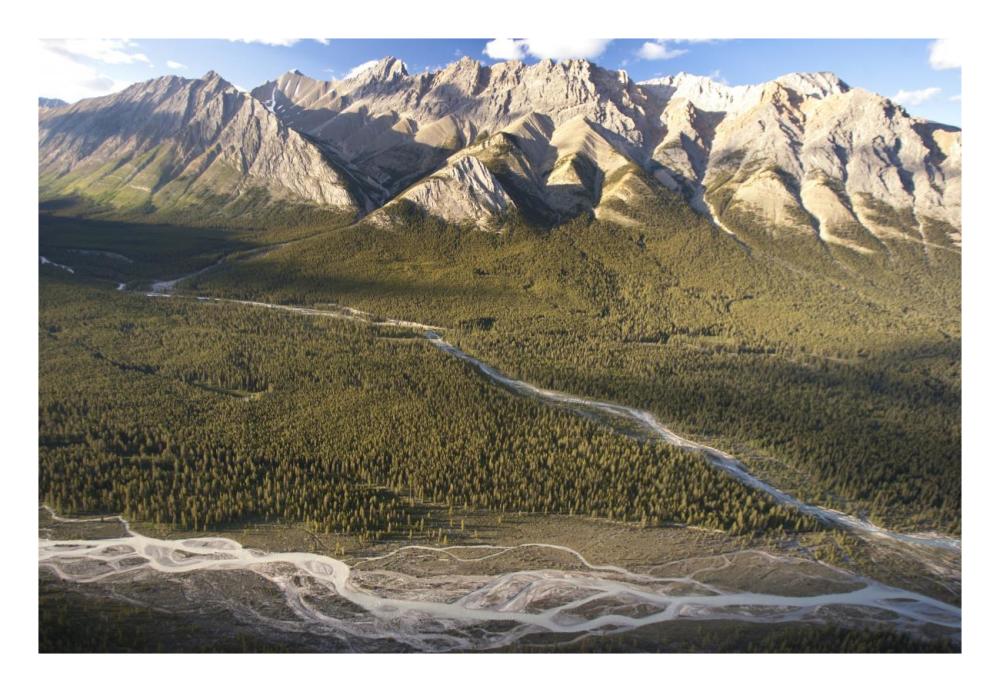 Mountains above Coral Creek and Cline River, Jasper National Park, Alberta, Canada-Paper Art-26"x18"