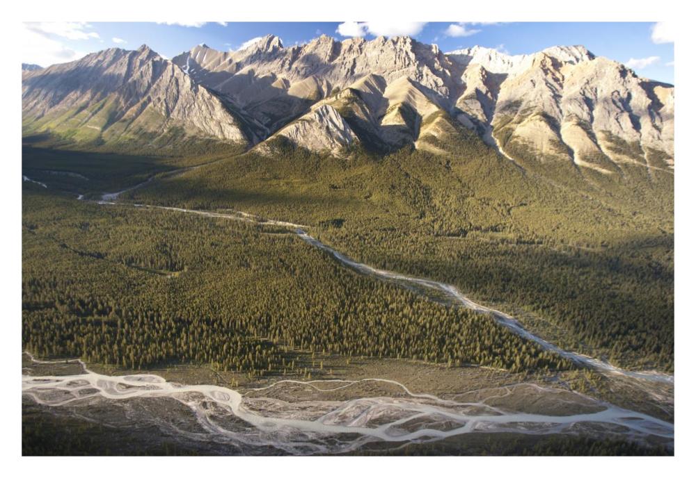 Mountains above Coral Creek and Cline River, Jasper National Park, Alberta, Canada-Paper Art-32"x22"
