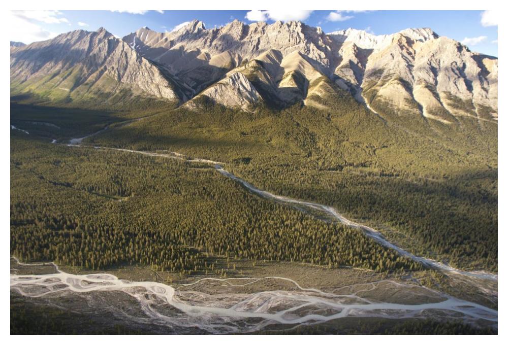 Mountains above Coral Creek and Cline River, Jasper National Park, Alberta, Canada-Paper Art-50"x34"