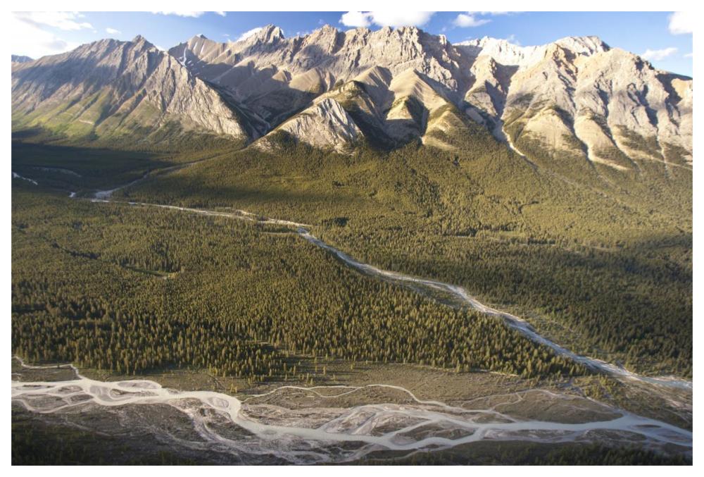 Mountains above Coral Creek and Cline River, Jasper National Park, Alberta, Canada-Paper Art-62"x42"
