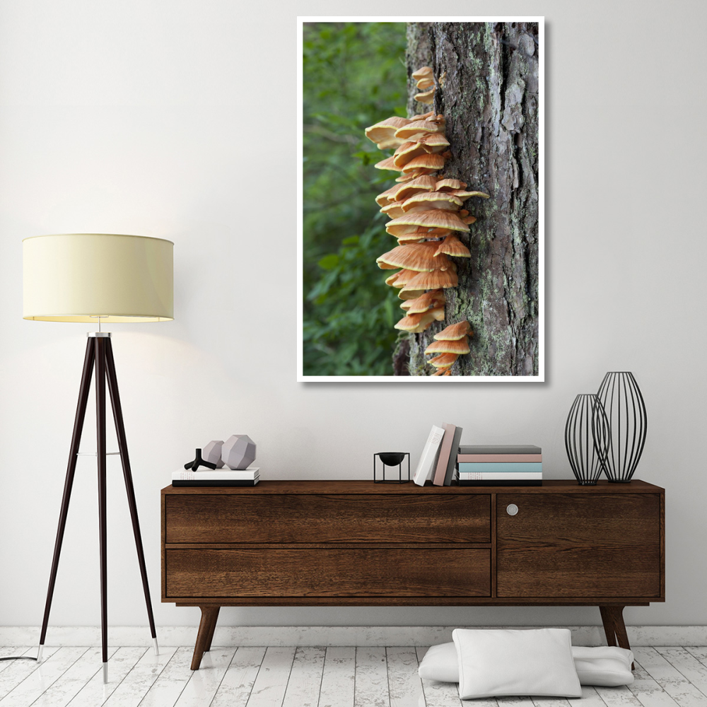 Chicken of the Woods fungus growing on tree trunk, Tongass National Forest, Alaska-Paper Art-42&quotx62"