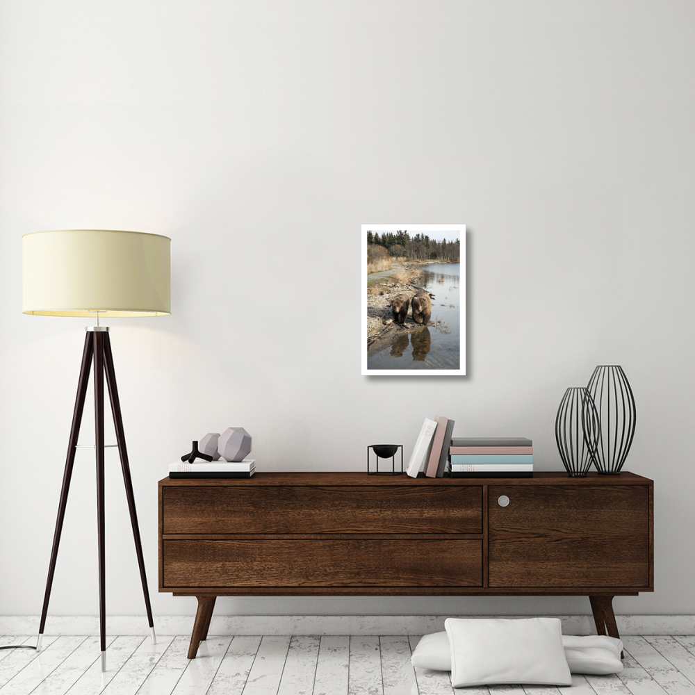 Grizzly Bear mother and yearling walking along river, Katmai National Park, Alaska-Paper Art-18&quotx26"