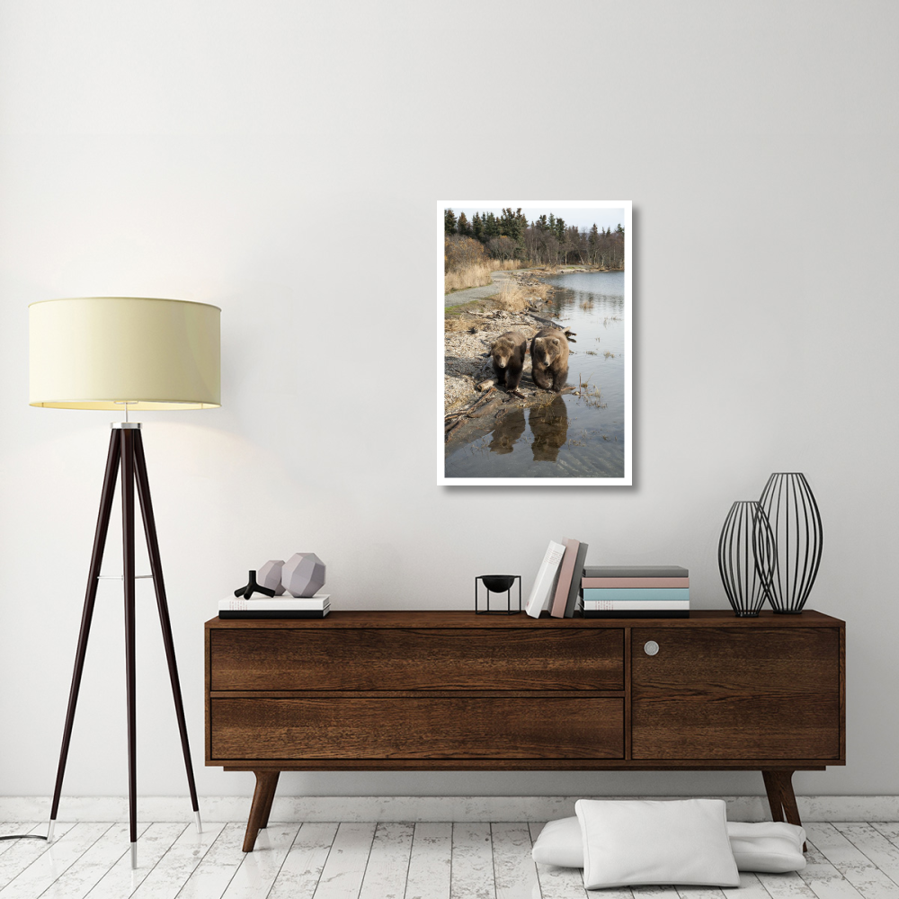 Grizzly Bear mother and yearling walking along river, Katmai National Park, Alaska-Paper Art-26&quotx38"