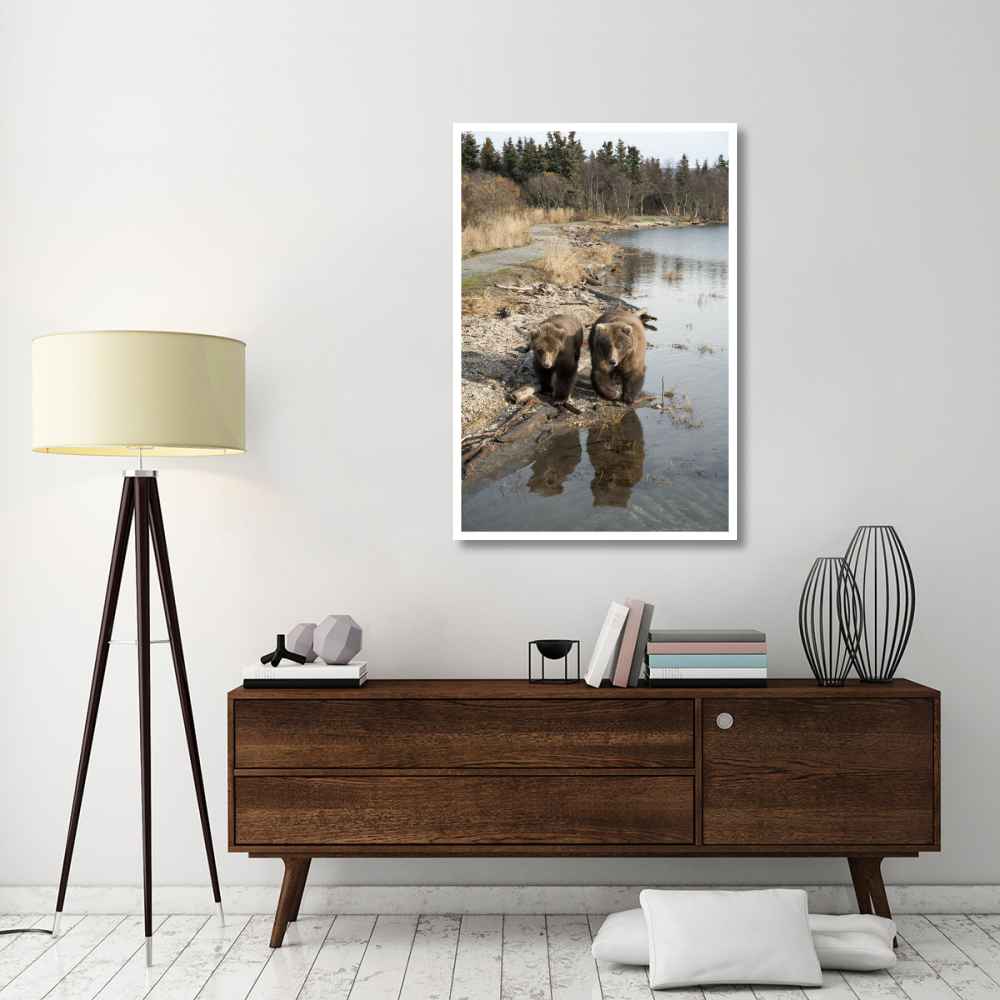Grizzly Bear mother and yearling walking along river, Katmai National Park, Alaska-Paper Art-34&quotx50"
