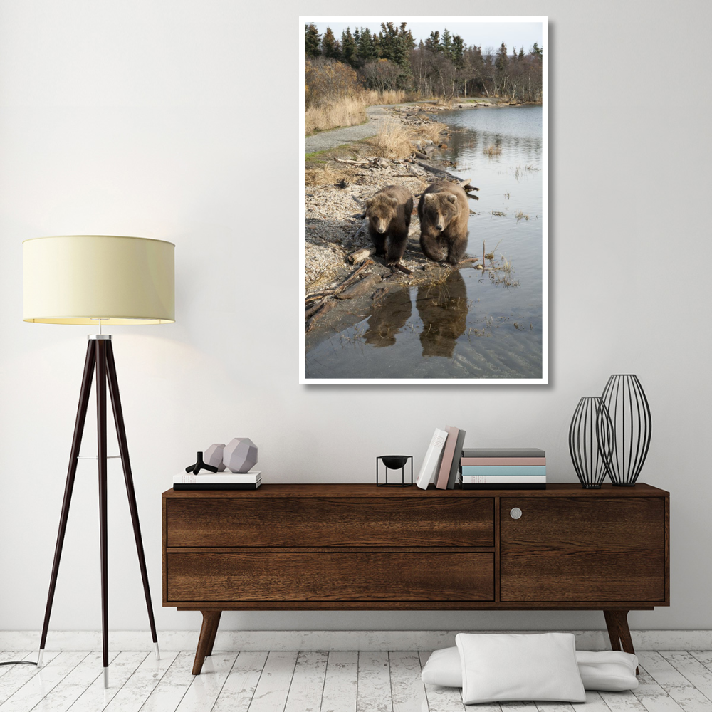 Grizzly Bear mother and yearling walking along river, Katmai National Park, Alaska-Paper Art-42&quotx62"