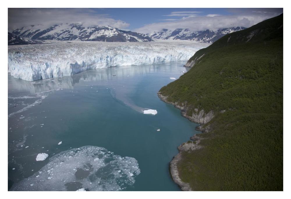 Hubbard Glacier encroaching on Gilbert Point, Wrangell-St. Elias National Park, Alaska-Paper Art-38"x26"