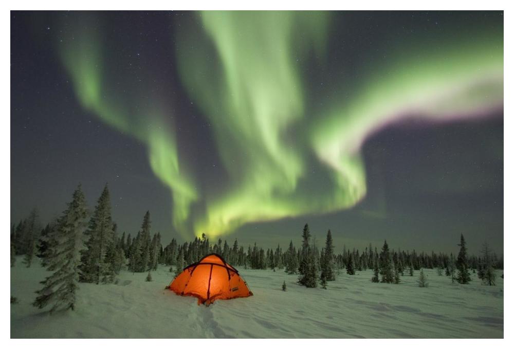 Northern lights or aurora borealis over illuminated tent, boreal forest, North America-Paper Art-50"x34"
