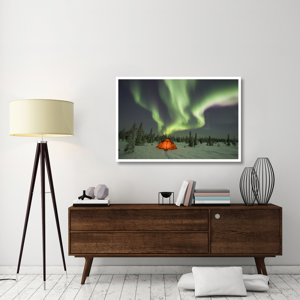 Northern lights or aurora borealis over illuminated tent, boreal forest, North America-Paper Art-50&quotx34"