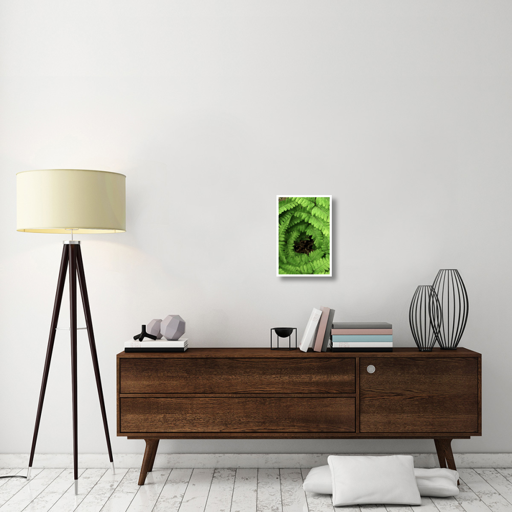 Fern fronds, Netherlands-Paper Art-14&quotx20"