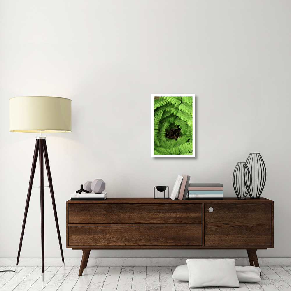 Fern fronds, Netherlands-Paper Art-18&quotx26"