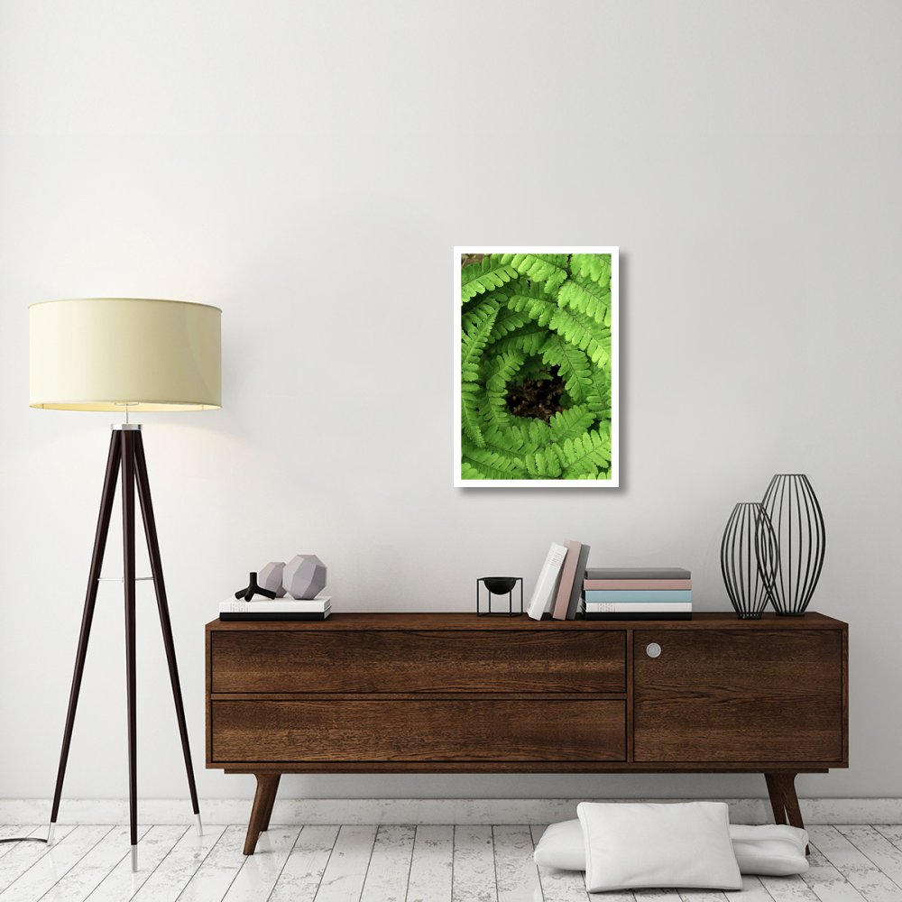Fern fronds, Netherlands-Paper Art-22&quotx32"