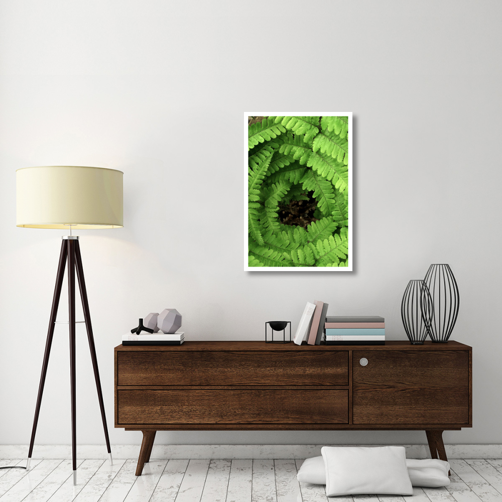 Fern fronds, Netherlands-Paper Art-26&quotx38"