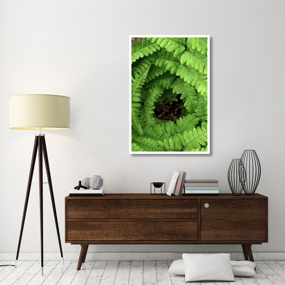 Fern fronds, Netherlands-Paper Art-34&quotx50"
