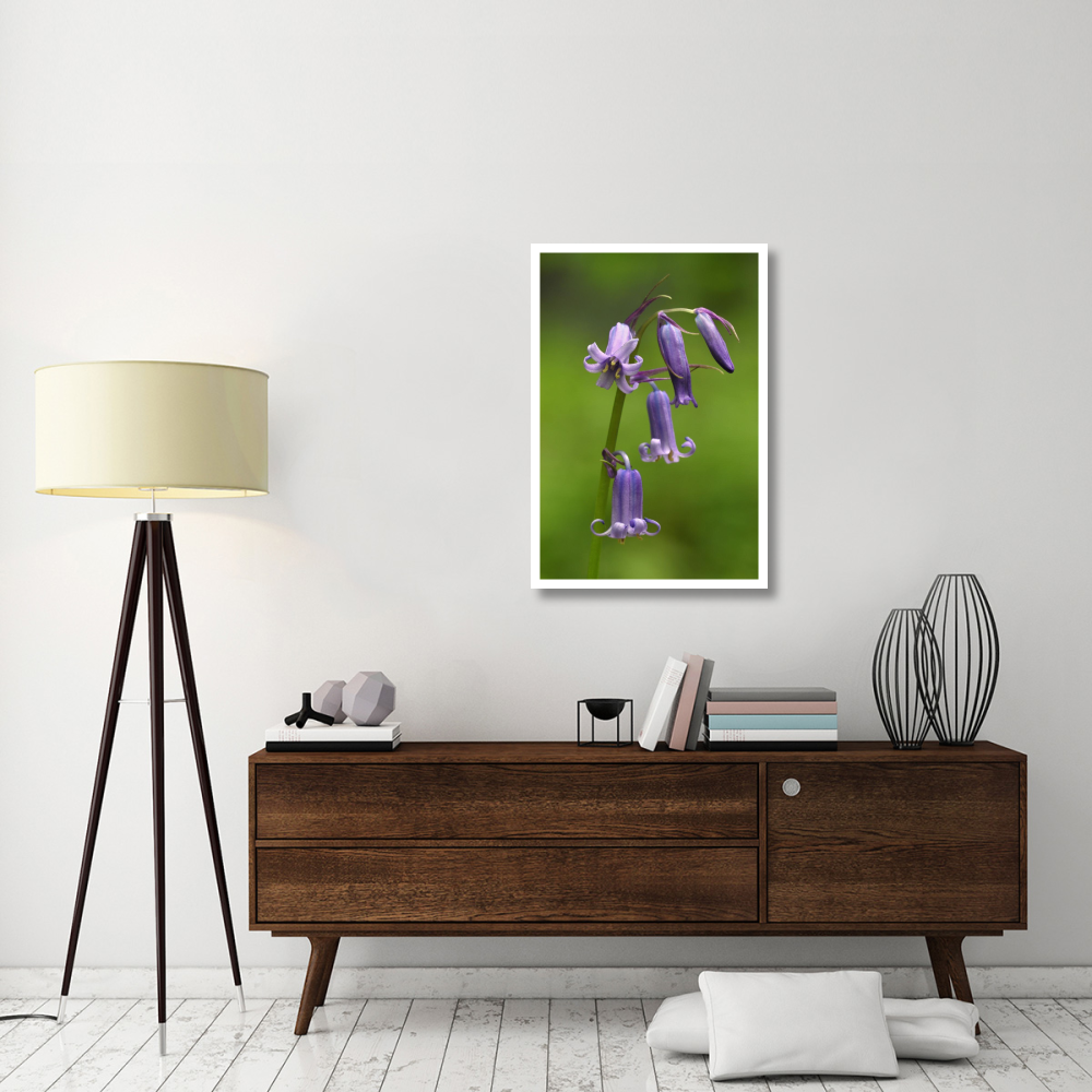 Close-up of Bluebell flower-Paper Art-26&quotx38"