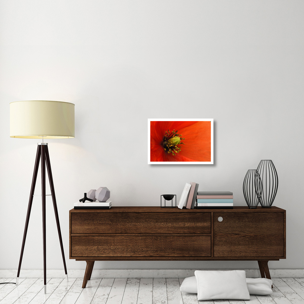Long-headed Poppy, Netherlands-Paper Art-26&quotx18"