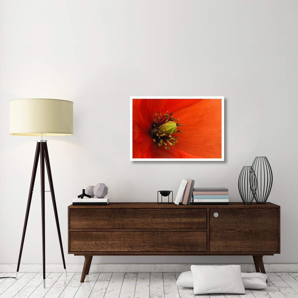 Long-headed Poppy, Netherlands-Paper Art-38&quotx26"