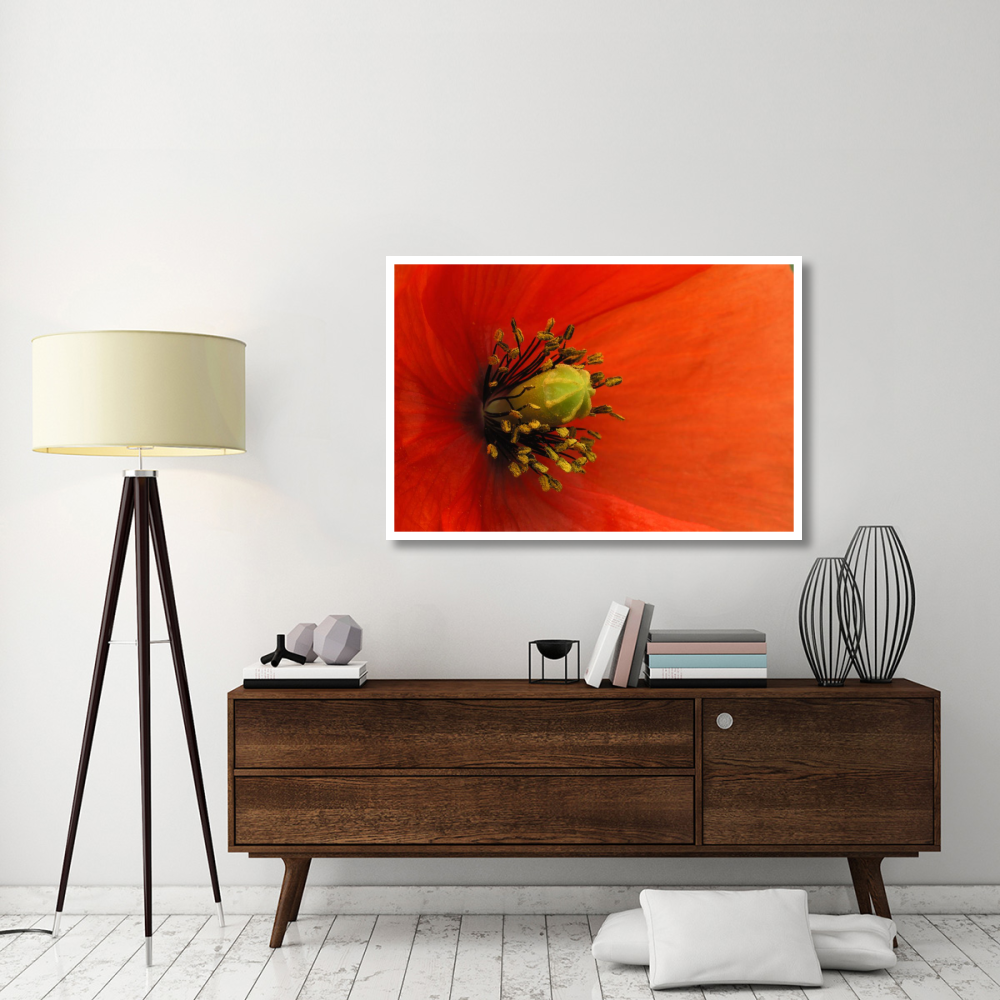 Long-headed Poppy, Netherlands-Paper Art-50&quotx34"