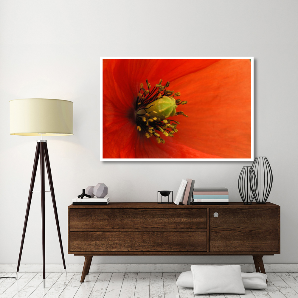 Long-headed Poppy, Netherlands-Paper Art-62&quotx42"