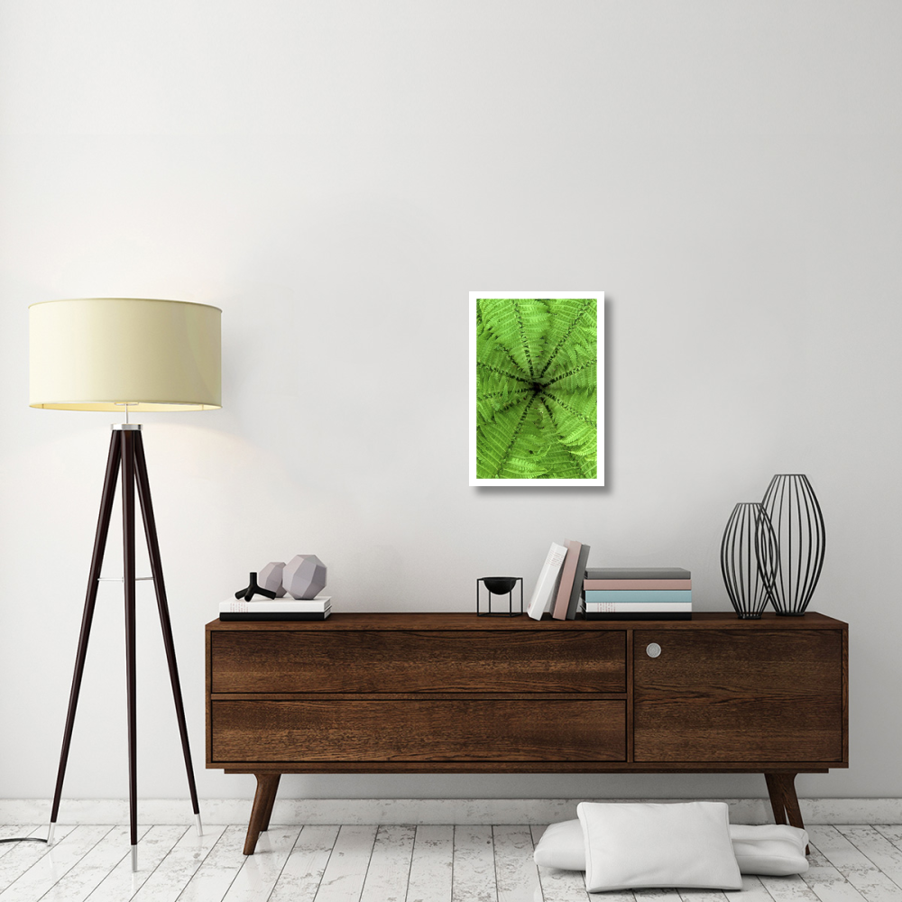 Ostrich Fern fronds, Netherlands-Paper Art-18&quotx26"