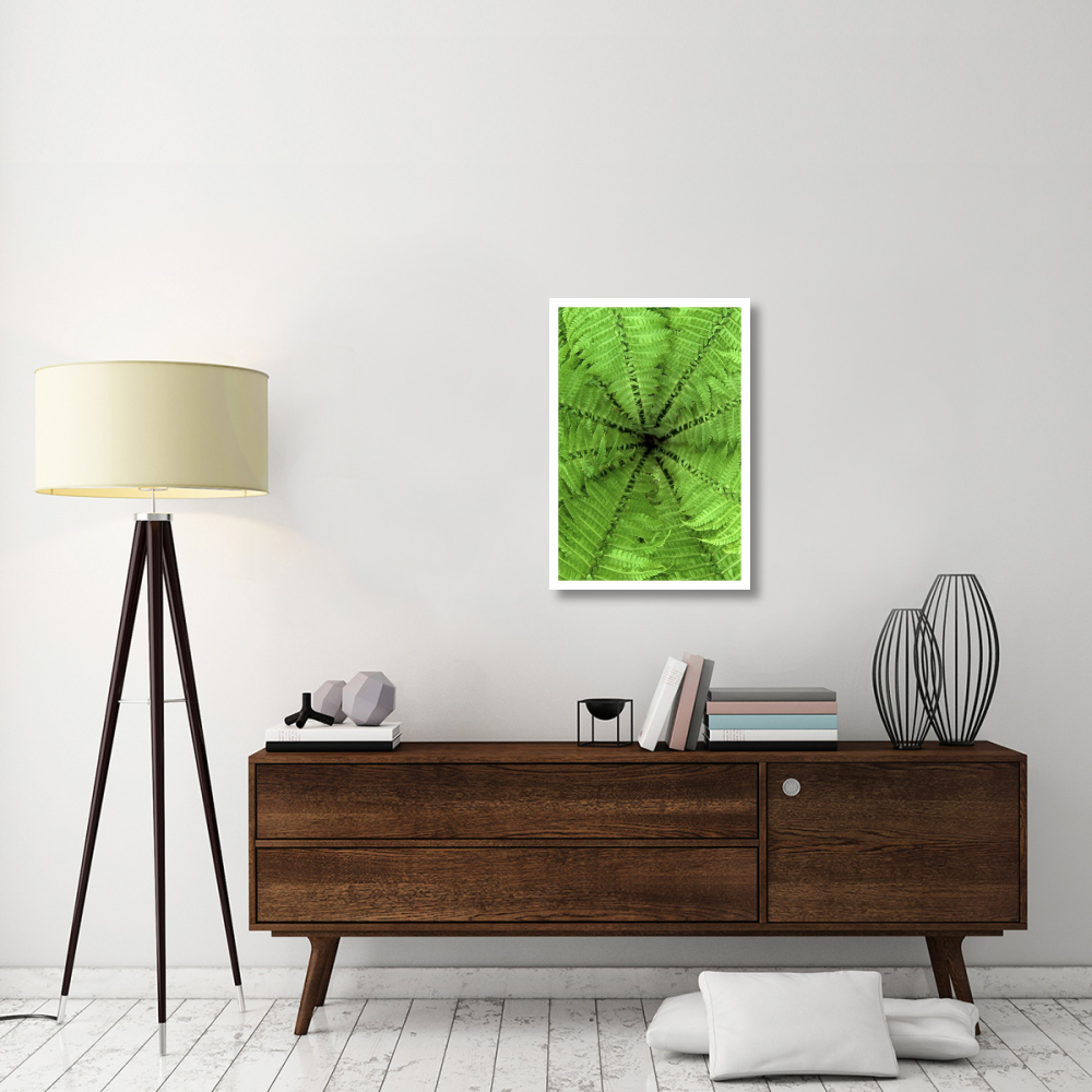 Ostrich Fern fronds, Netherlands-Paper Art-22&quotx32"
