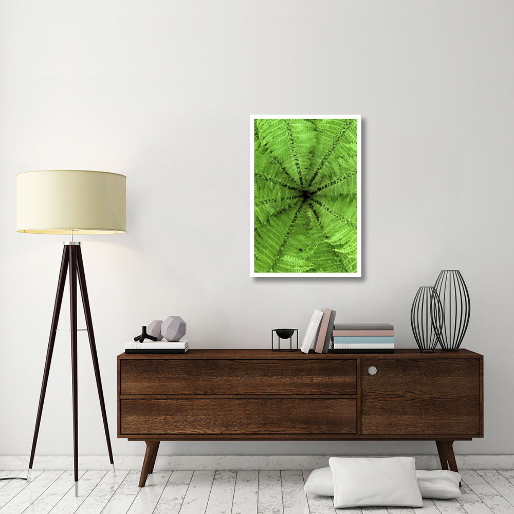 Ostrich Fern fronds, Netherlands-Paper Art-26&quotx38"