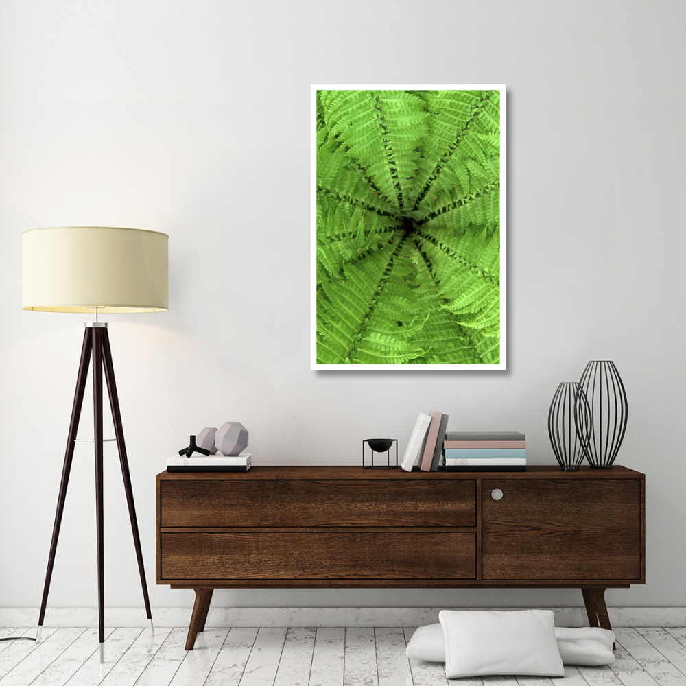 Ostrich Fern fronds, Netherlands-Paper Art-34&quotx50"