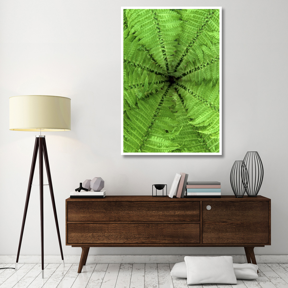 Ostrich Fern fronds, Netherlands-Paper Art-42&quotx62"