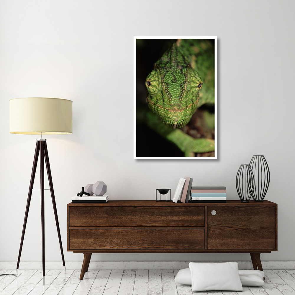 Mediterranean Chameleon close up, head on, Portugal-Paper Art-34&quotx50"