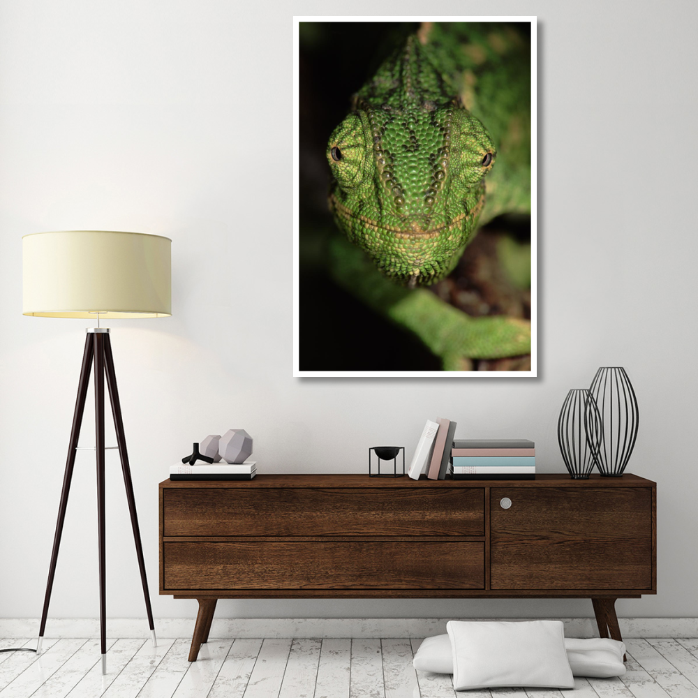 Mediterranean Chameleon close up, head on, Portugal-Paper Art-42&quotx62"