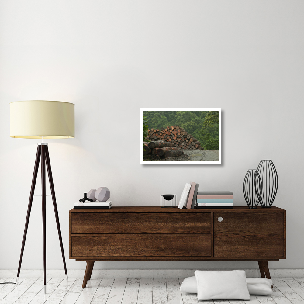 Logging of native rainforest, Ecuador-Paper Art-32&quotx22"