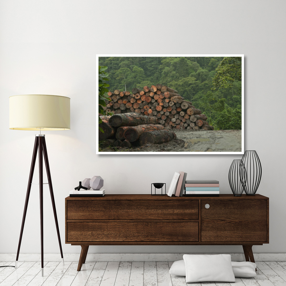 Logging of native rainforest, Ecuador-Paper Art-62&quotx42"