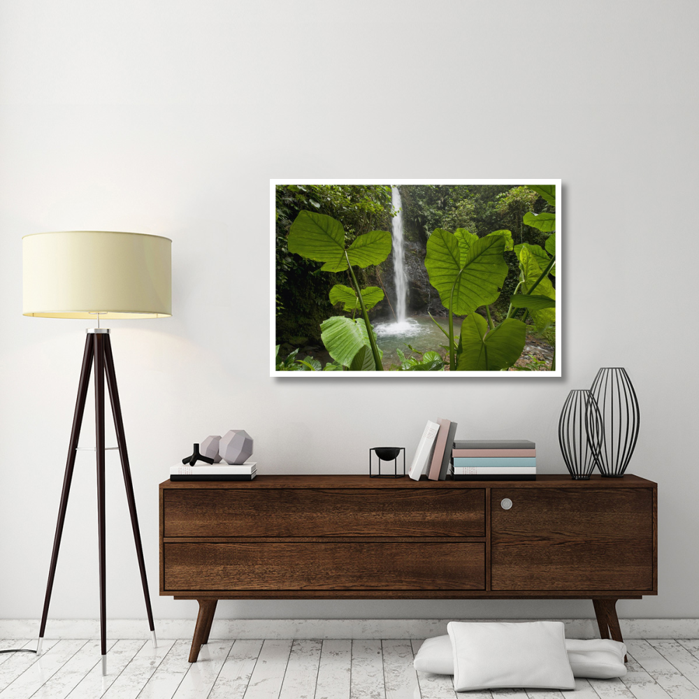 Waterfall in lowland tropical rainforest, Ecuador-Paper Art-50&quotx34"