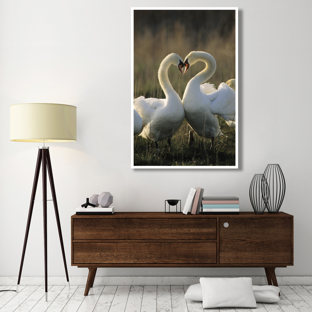 Mute Swan pair courting, Europe-Paper Art-42&quotx62"
