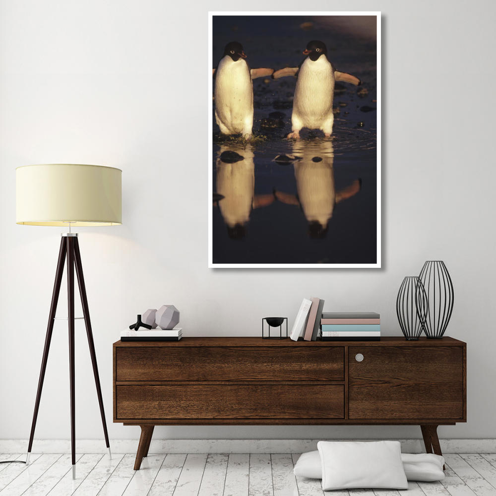 Adelie Penguins crossing summer melt pool, Cape Adare, Ross Sea, Antarctica-Paper Art-42&quotx62"