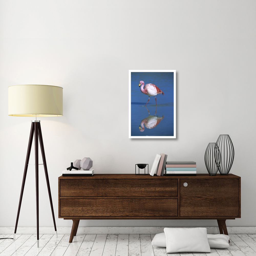 Puna Flamingo wading, Laguna Colorada, Bolivia-Paper Art-22&quotx32"