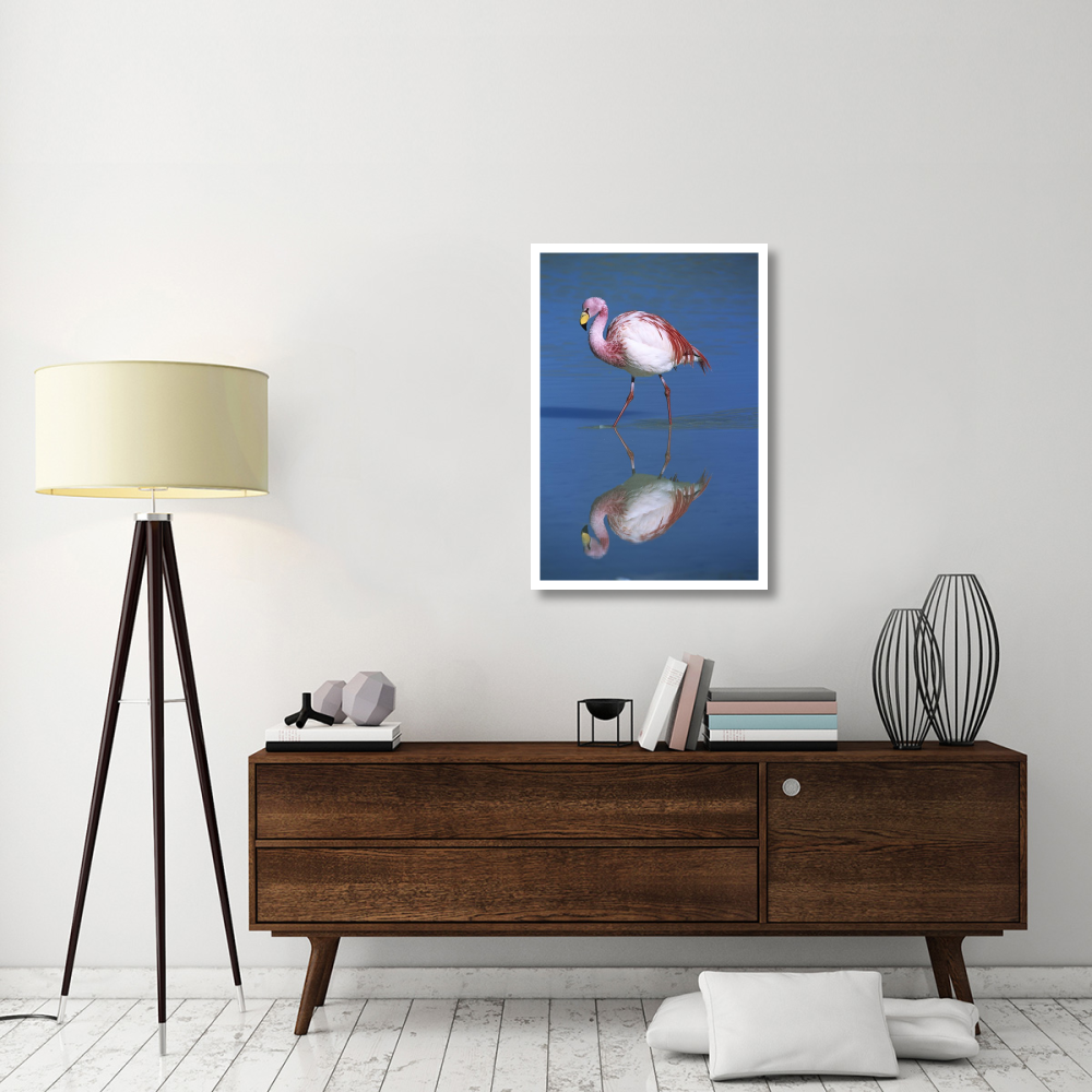 Puna Flamingo wading, Laguna Colorada, Bolivia-Paper Art-26&quotx38"