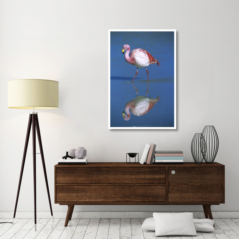 Puna Flamingo wading, Laguna Colorada, Bolivia-Paper Art-34&quotx50"