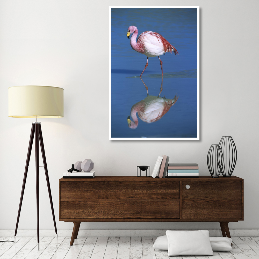 Puna Flamingo wading, Laguna Colorada, Bolivia-Paper Art-42&quotx62"