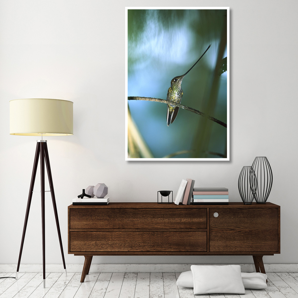 Sword-billed Hummingbird, Papallacta Valley, Andes Mountains, Ecuador-Paper Art-42&quotx62"