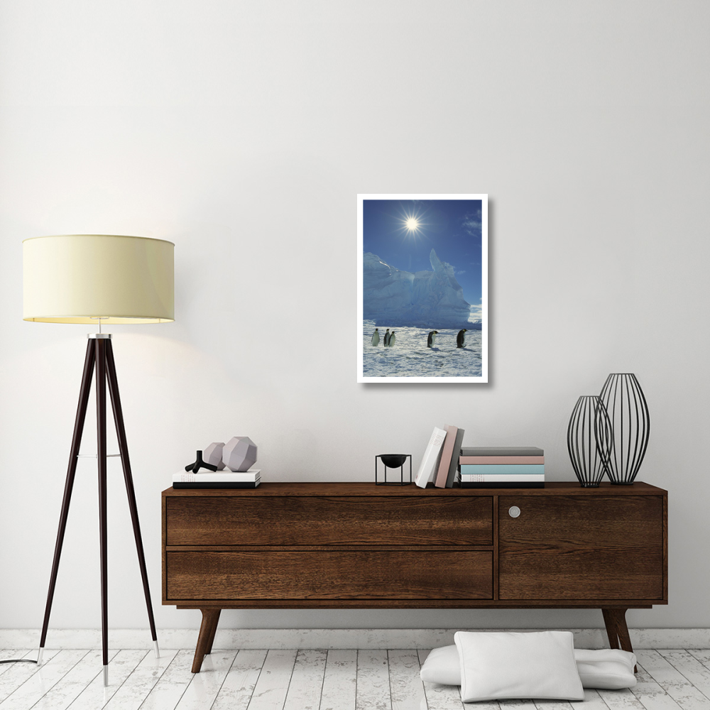 Emperor Penguin commuters returning to rookery, Riiser-Larsen Rookery, Weddell Sea, Antarctica-Paper Art-22&quotx32"