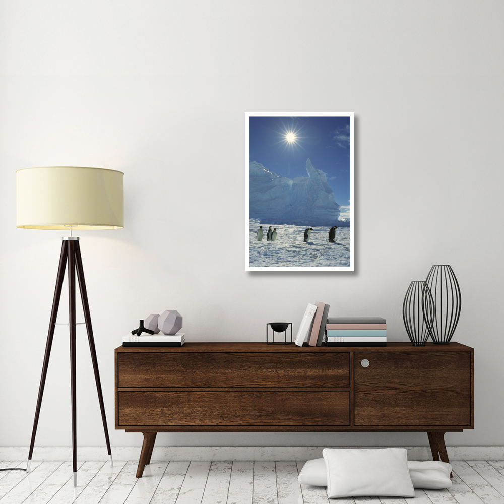 Emperor Penguin commuters returning to rookery, Riiser-Larsen Rookery, Weddell Sea, Antarctica-Paper Art-26&quotx38"