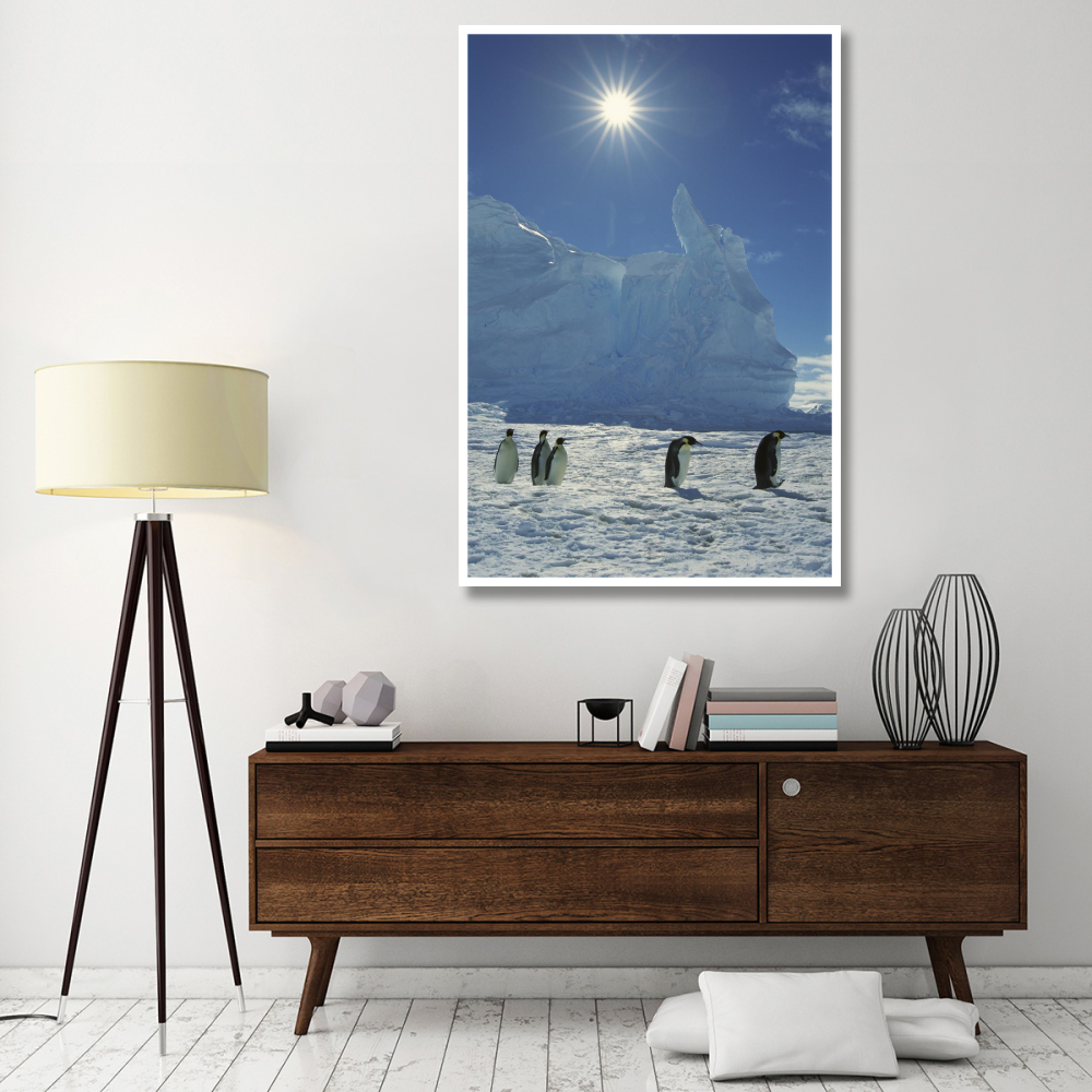Emperor Penguin commuters returning to rookery, Riiser-Larsen Rookery, Weddell Sea, Antarctica-Paper Art-42&quotx62"