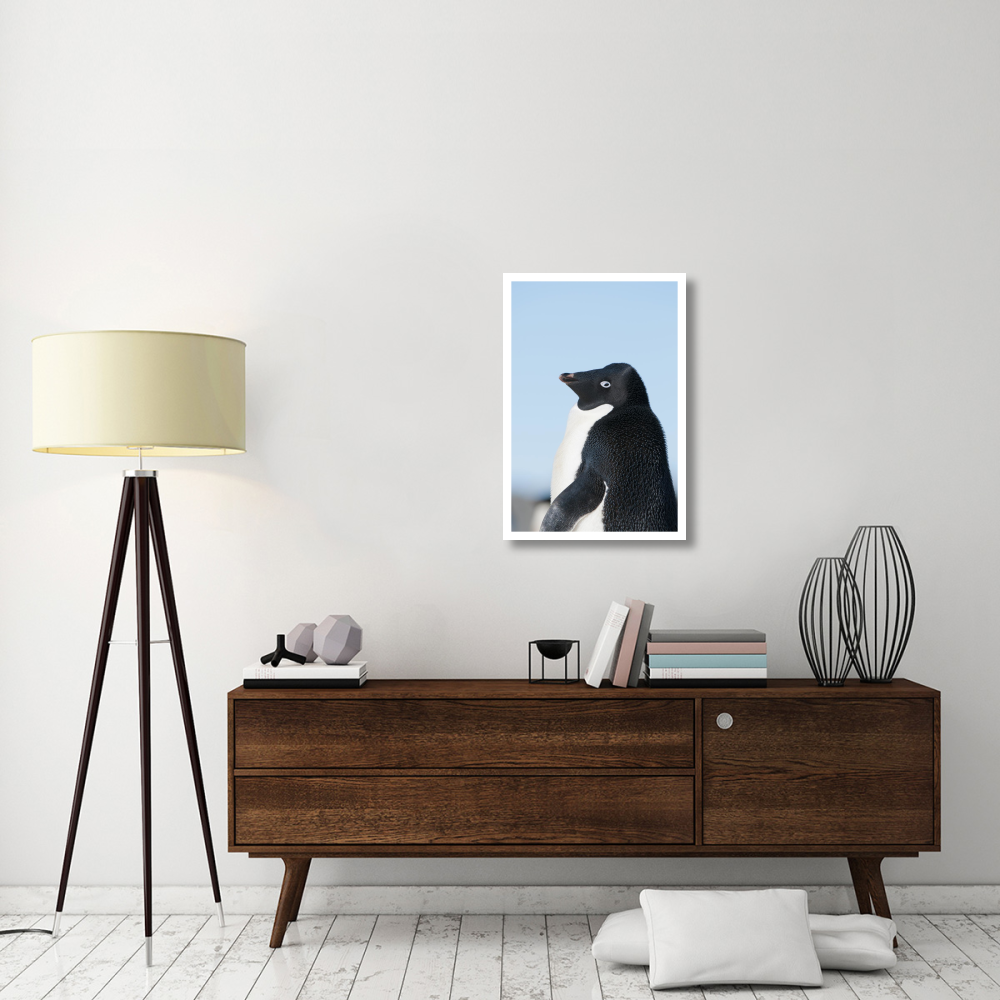 Adelie Penguin, Prydz Bay, eastern Antarctica-Paper Art-22&quotx32"