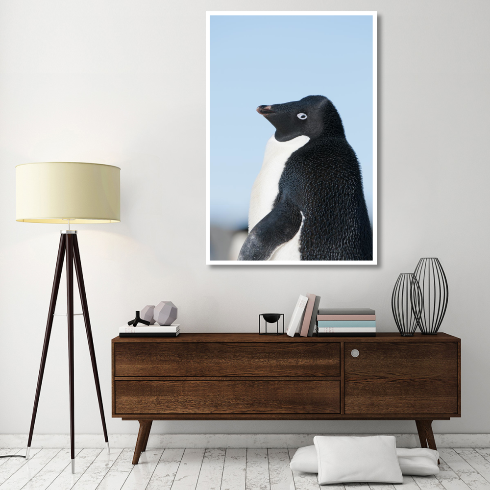 Adelie Penguin, Prydz Bay, eastern Antarctica-Paper Art-42&quotx62"