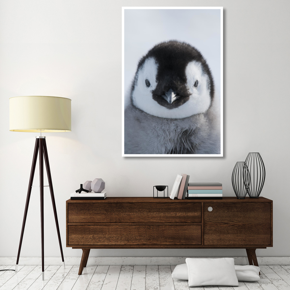 Emperor Penguin chick, Prydz Bay, eastern Antarctica-Paper Art-42&quotx62"