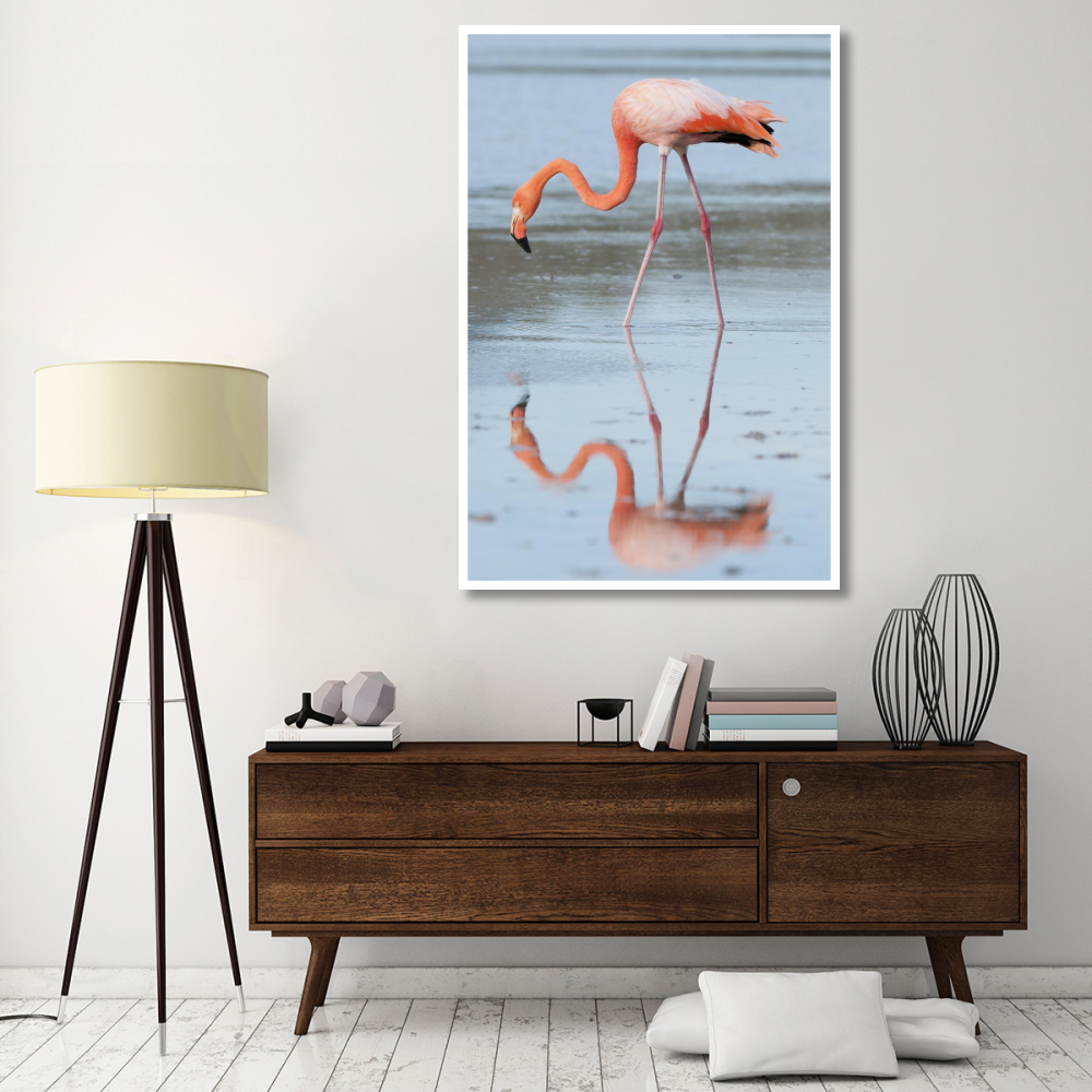 Greater Flamingo foraging, Galapagos Islands, Ecuador-Paper Art-42&quotx62"