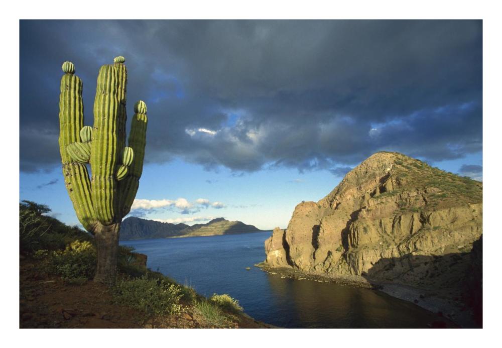 Danzante Island, Sea of Cortez, Baja California, Mexico-Paper Art-26"x18"