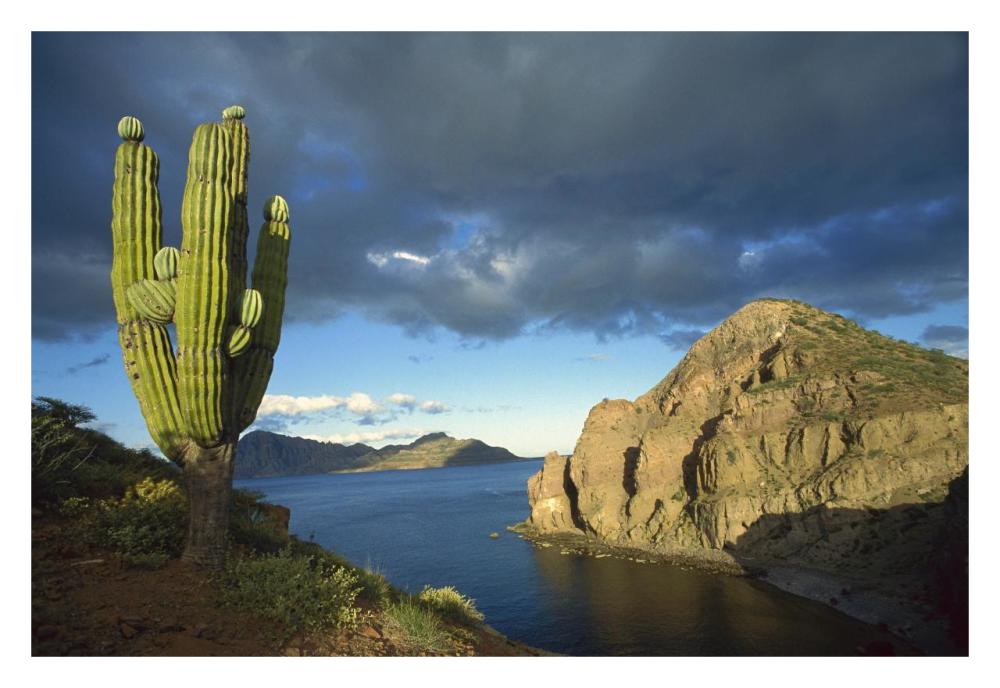 Danzante Island, Sea of Cortez, Baja California, Mexico-Paper Art-32"x22"
