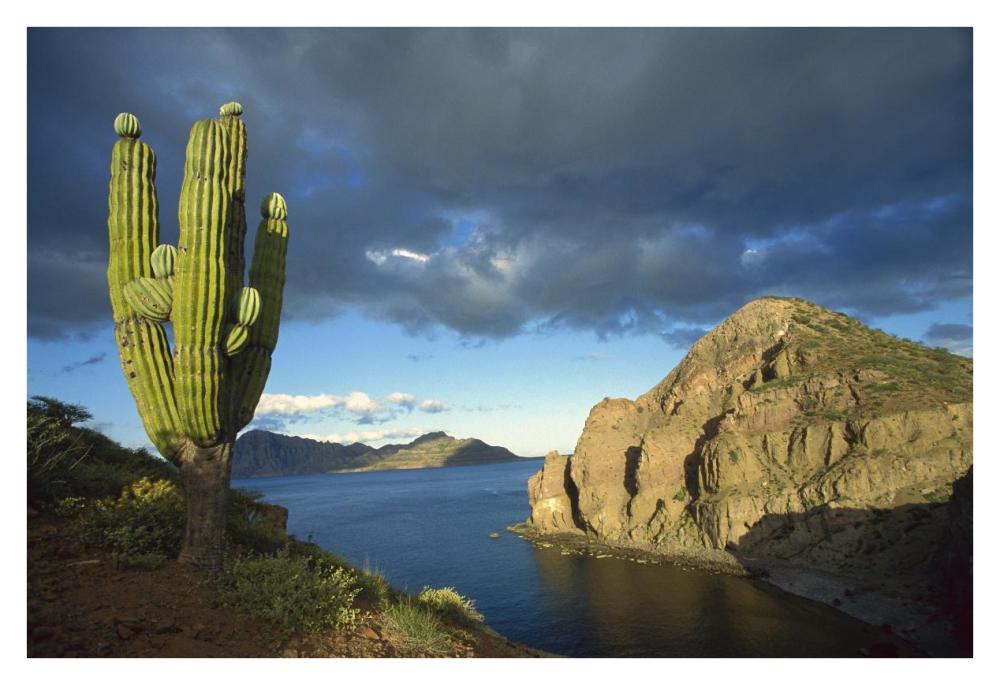 Danzante Island, Sea of Cortez, Baja California, Mexico-Paper Art-38"x26"