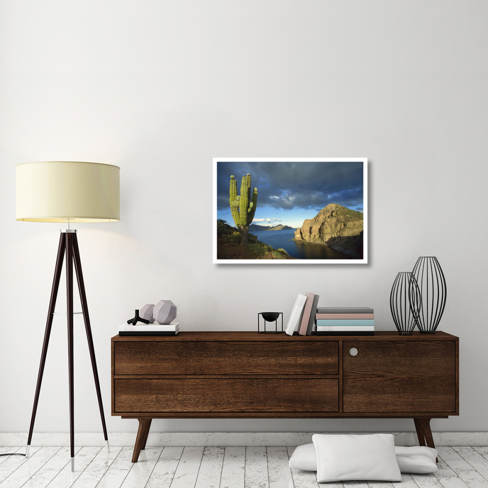 Danzante Island, Sea of Cortez, Baja California, Mexico-Paper Art-38&quotx26"